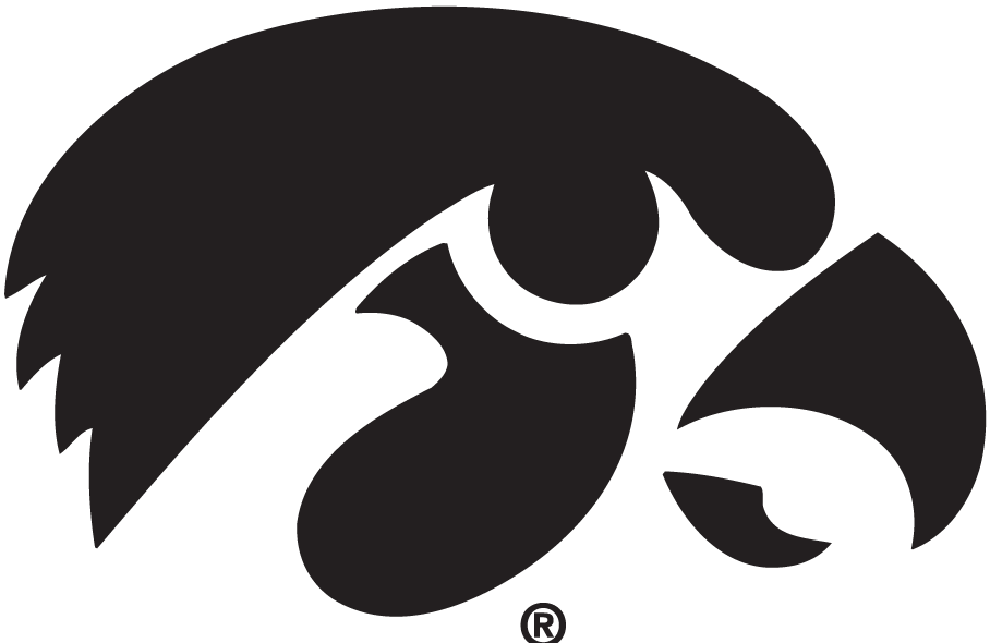 Iowa Hawkeyes 1979-Pres Alternate Logo 02 iron on paper